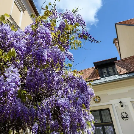 Maison Bistro & Hotel