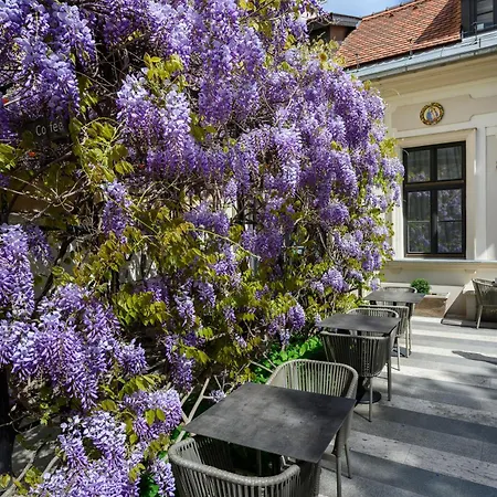 Maison Bistro &