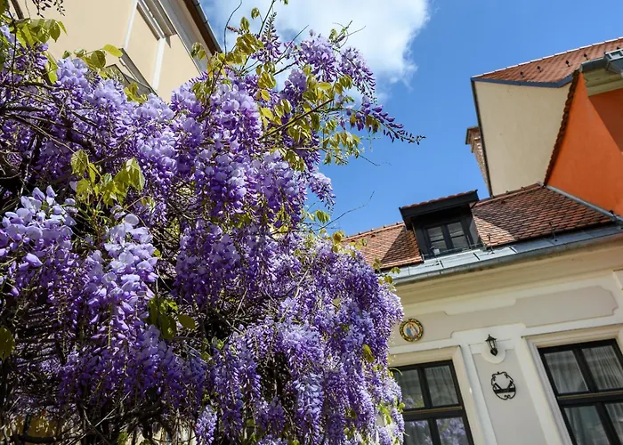 Maison Bistro & Hotel