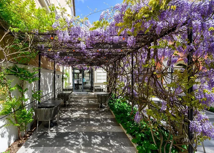 Maison Bistro & מלון 4*