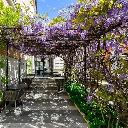 Maison Bistro & Hotel 4*